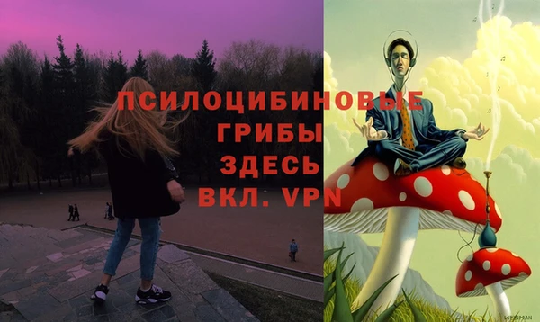 бутират Алзамай